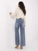 Spodnie jeans NM-SP-T380-1.73P