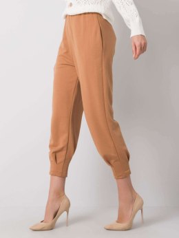 Spodnie dresowe 217-DR-25676.78P