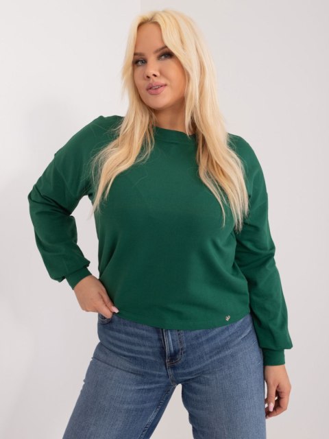 Bluza RV-BL-6317.94