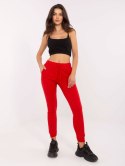 Spodnie dresowe B-006.74
